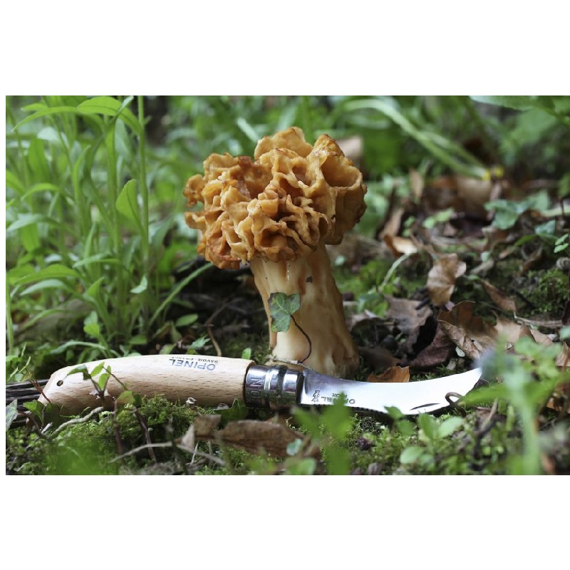 Couteau a champignon n08 avec brosse - opinel 