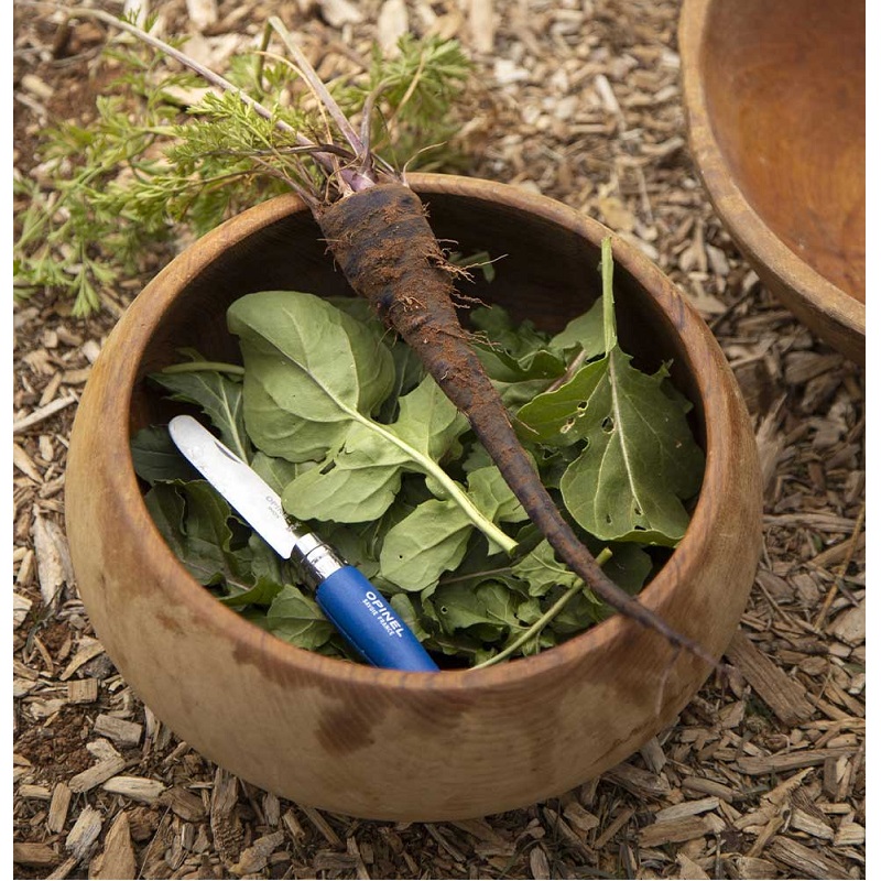 Couteau de poche enfant "mon premier opinel" bleu - opinel 
