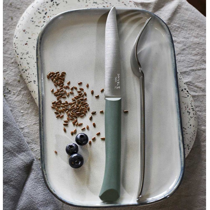 Couteau de table bon appetit sauge - opinel 