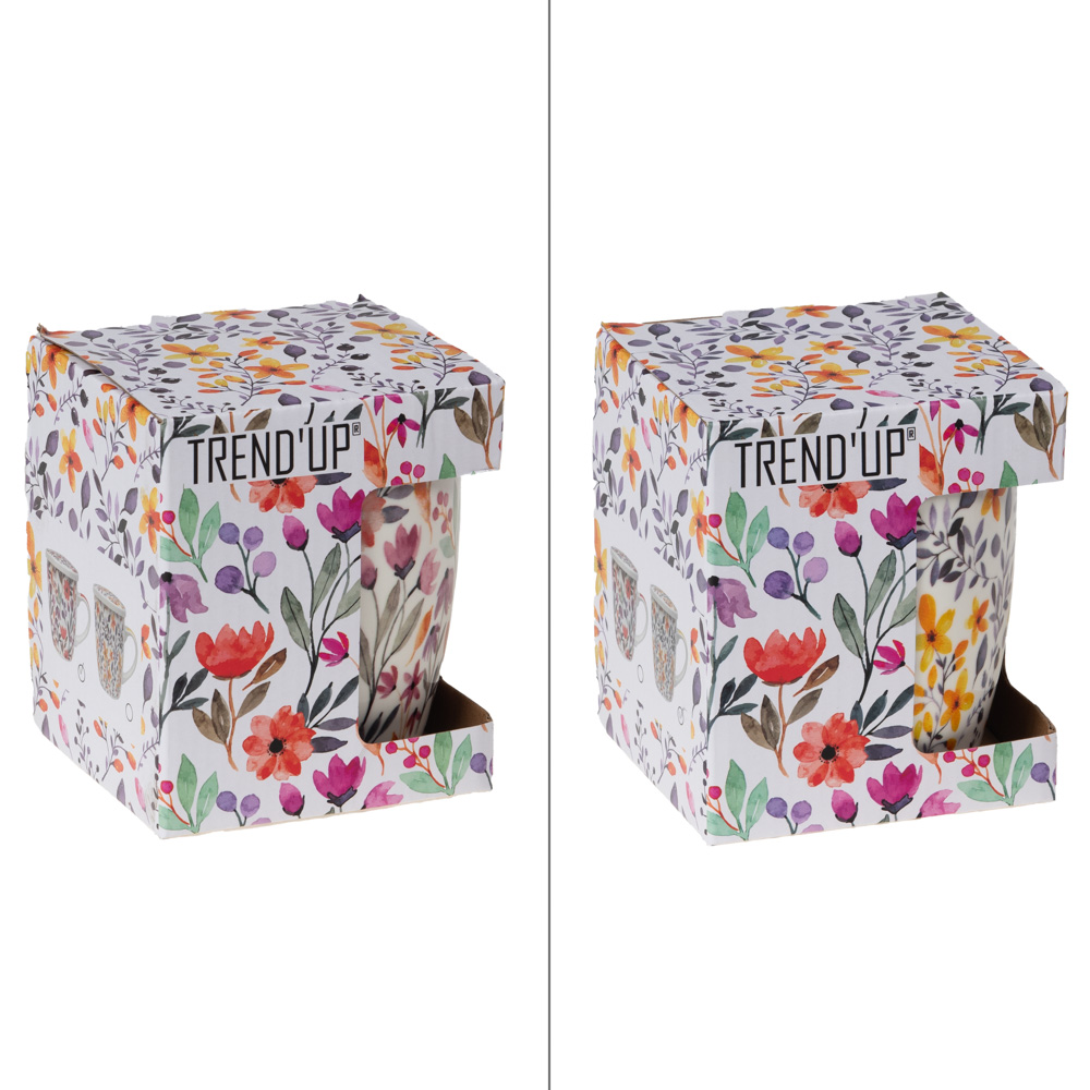 Coffret tisanière avec filtre blossia 36 cl, vendu à l'unité, modèle aléatoire - table et passion 