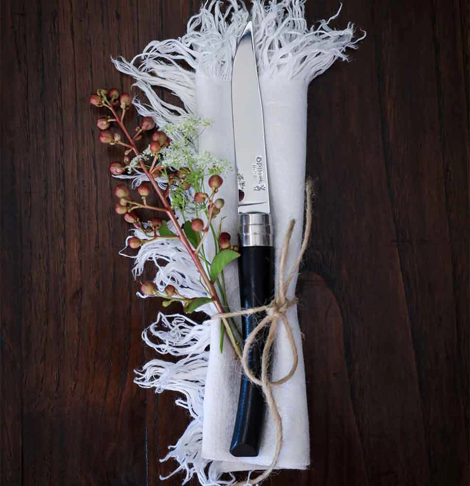 Coffret de 4 couteaux de table chic ébène - opinel 