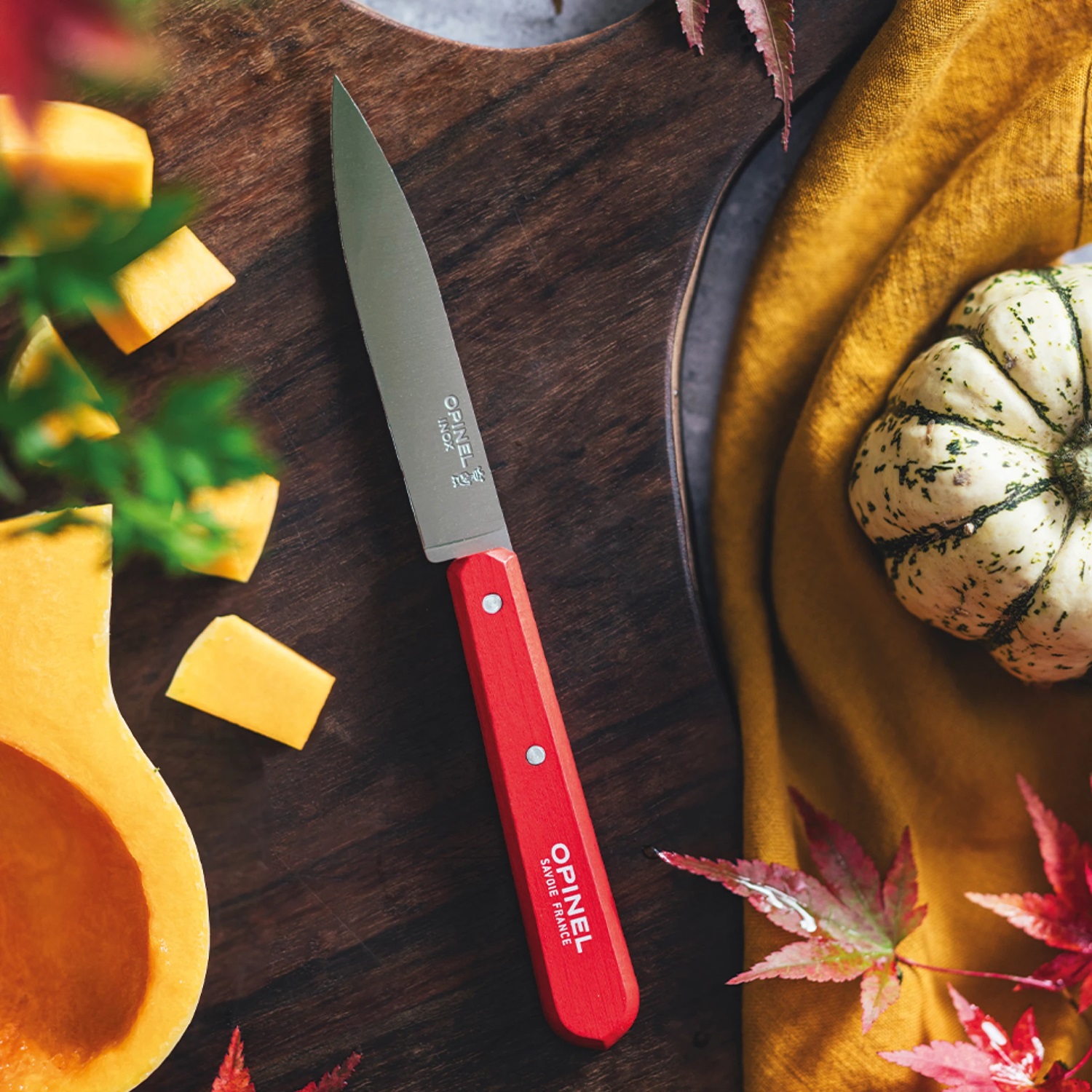 Couteau d'office 10 cm manche bois rouge n°112 - opinel 