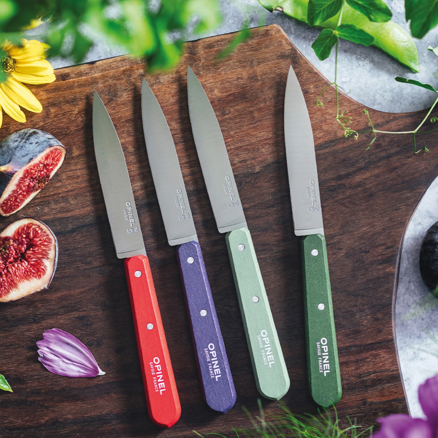 Coffret 4 couteaux d'office coloris paysage n112 - opinel 