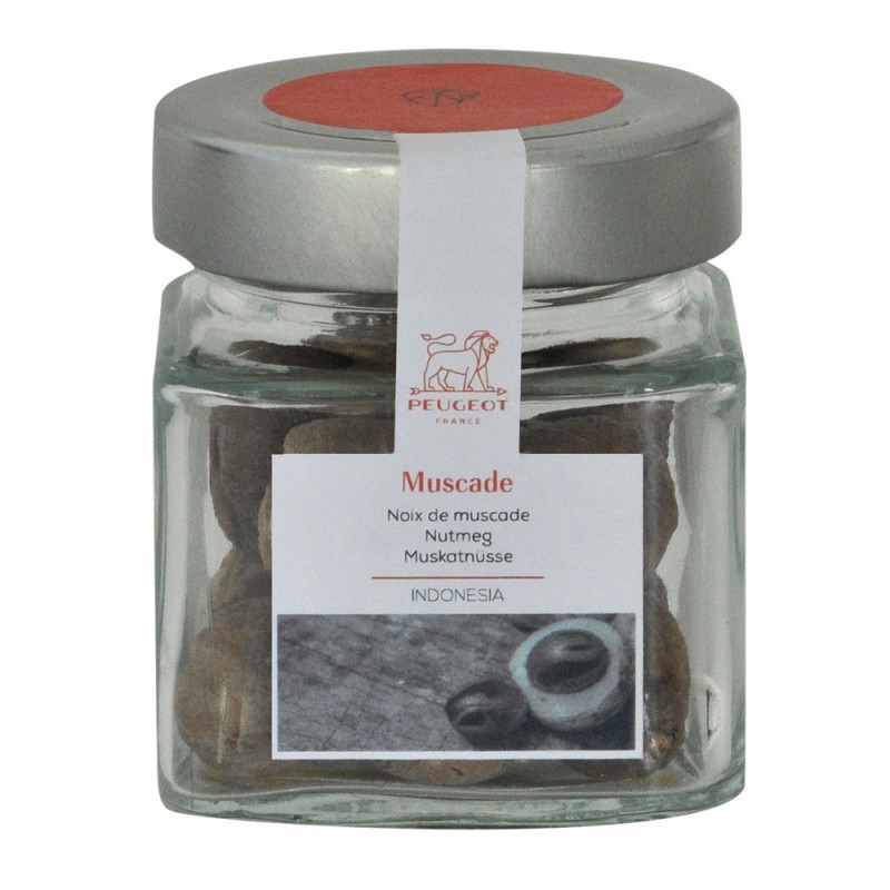 Cube a epice petit modele noix de muscade 50 g - peugeot saveurs
