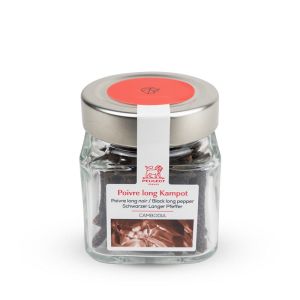 Cube a epice poivre long kampot noir 40g - peugeot saveurs