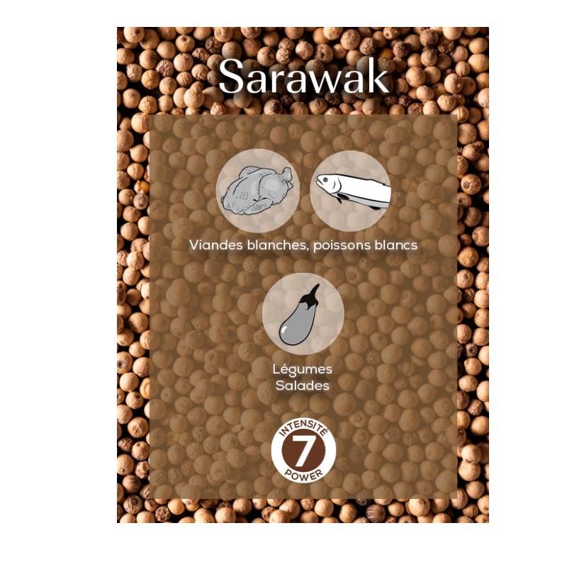 Sarawak - poivre blanc 80g - peugeot saveurs