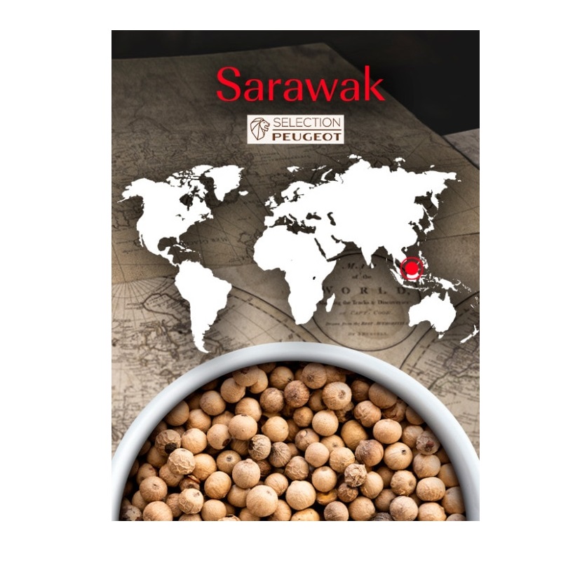 Sarawak - poivre blanc 80g - peugeot saveurs