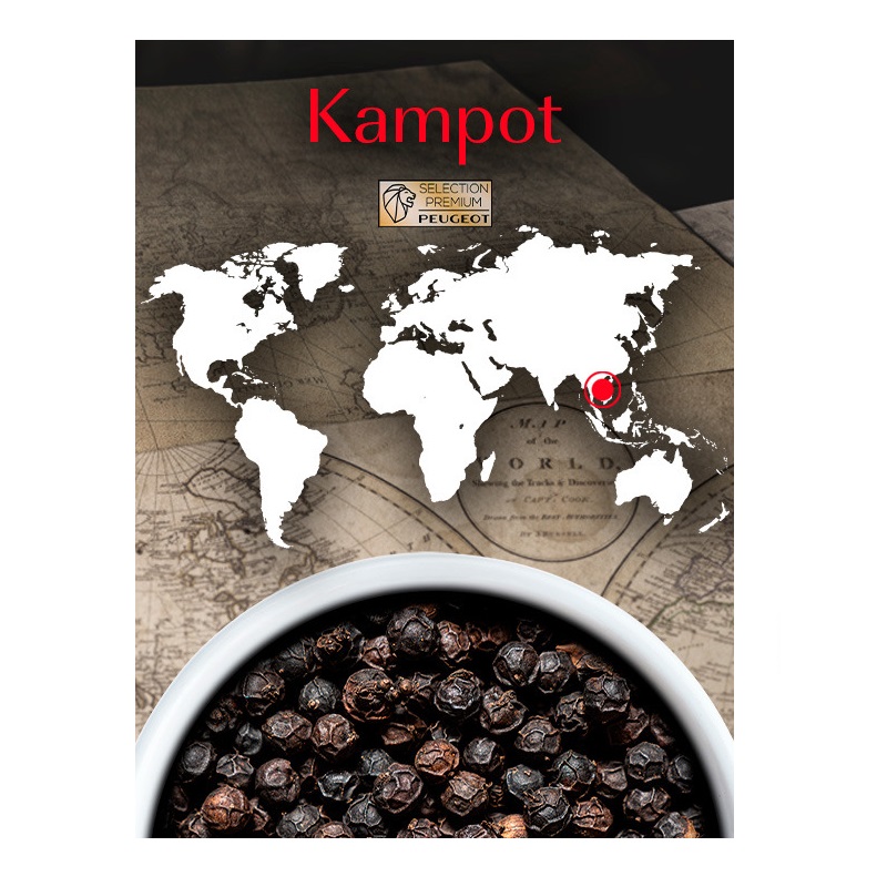 Kampot poivre noir sachet 60g - peugeot saveurs