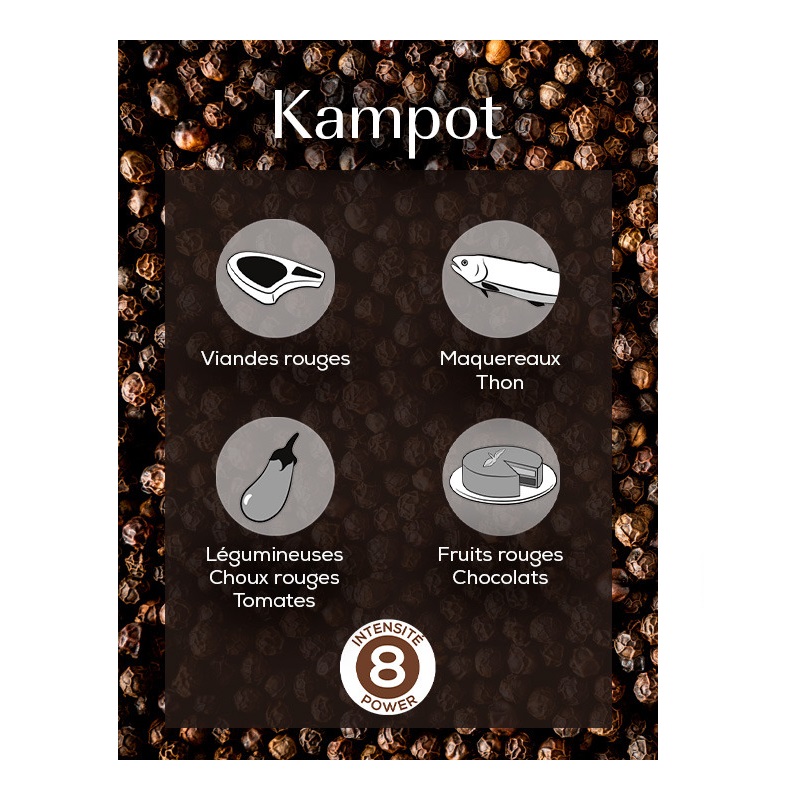 Kampot poivre noir sachet 60g - peugeot saveurs