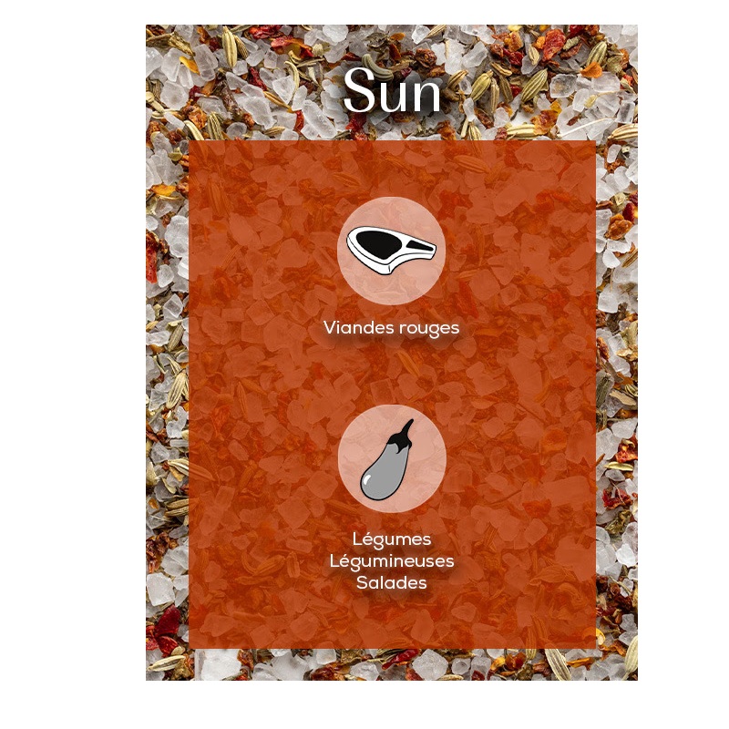 Sun mélange provence sel 135g - peugeot saveurs 