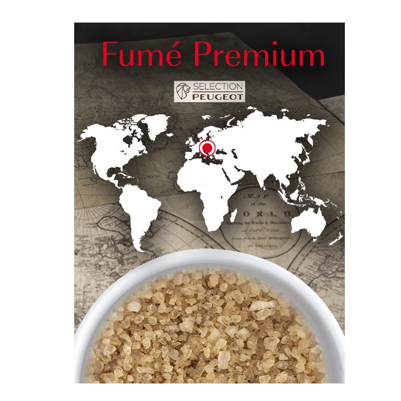 Sel fumé premium 350g - peugeot saveurs 