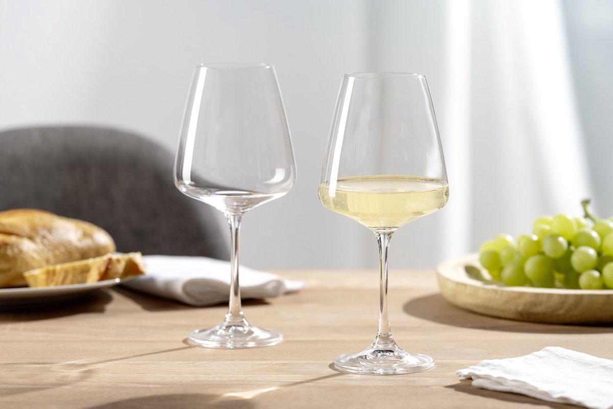 Paladino lot de 6 verres à vin blanc 54 cl - leonardo