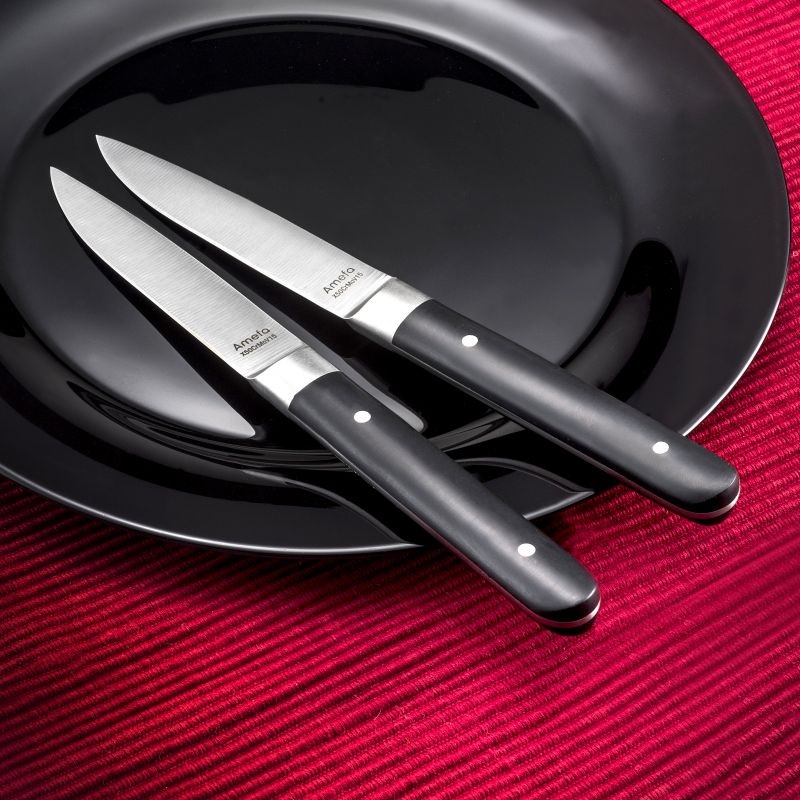 Coffret 4 couteaux steak fusion - amefa