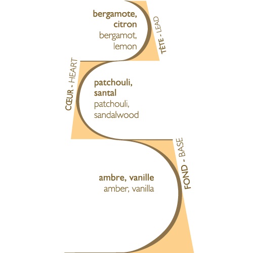 Ambre, recharge de parfum 500 ml ambre pour bouquet - esteban