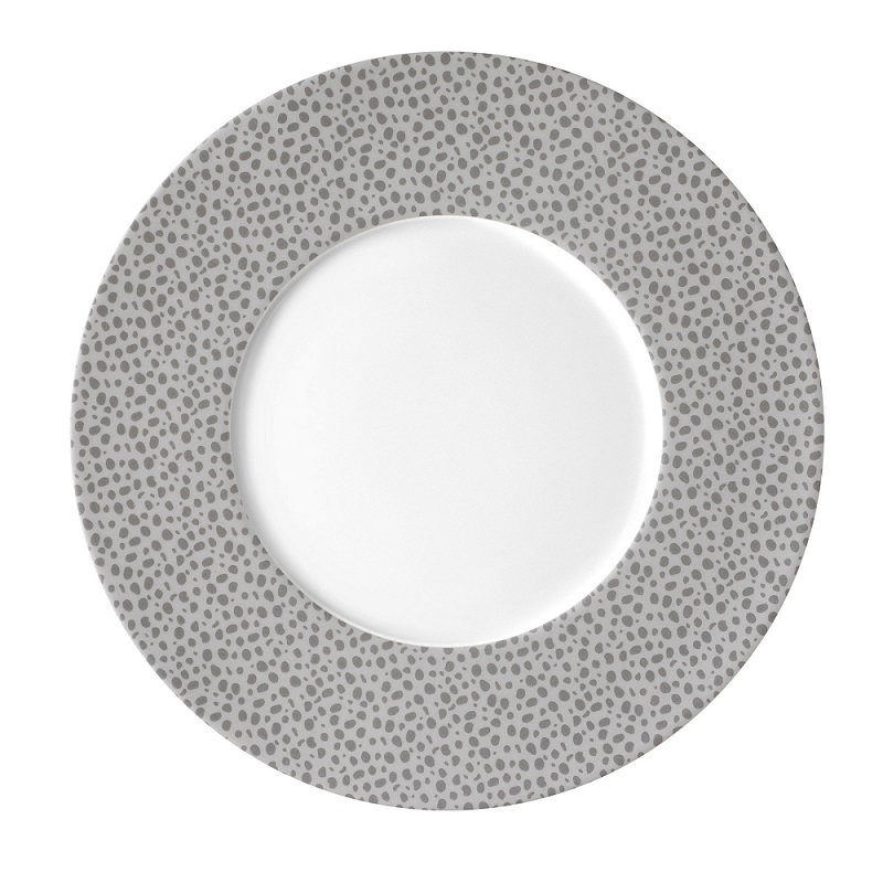 Lot de 6 assiettes plates 27 cm baghera platinum - medard de noblat