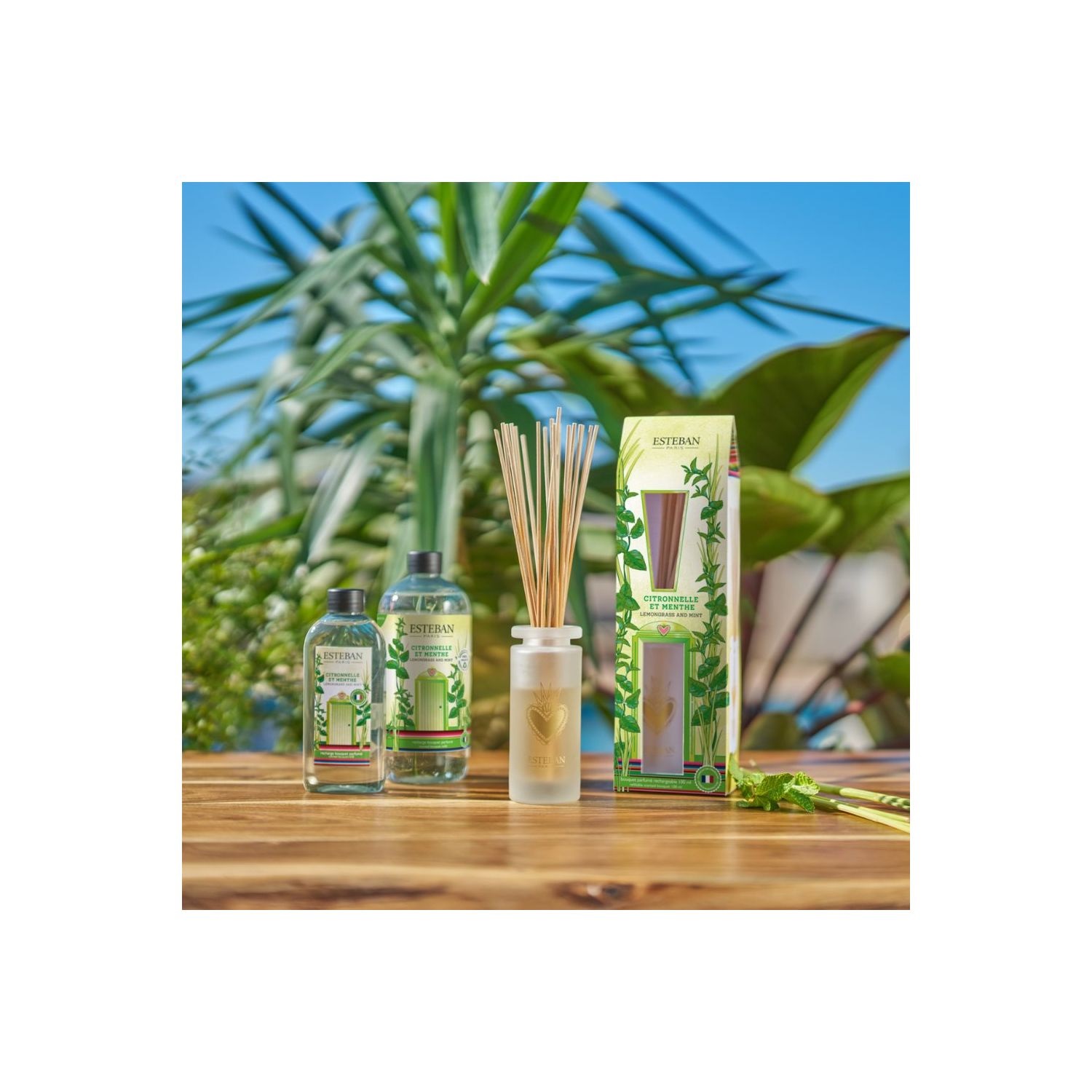 Bouquet parfumé citronnelle & menthe rechargeable 100ml - esteban