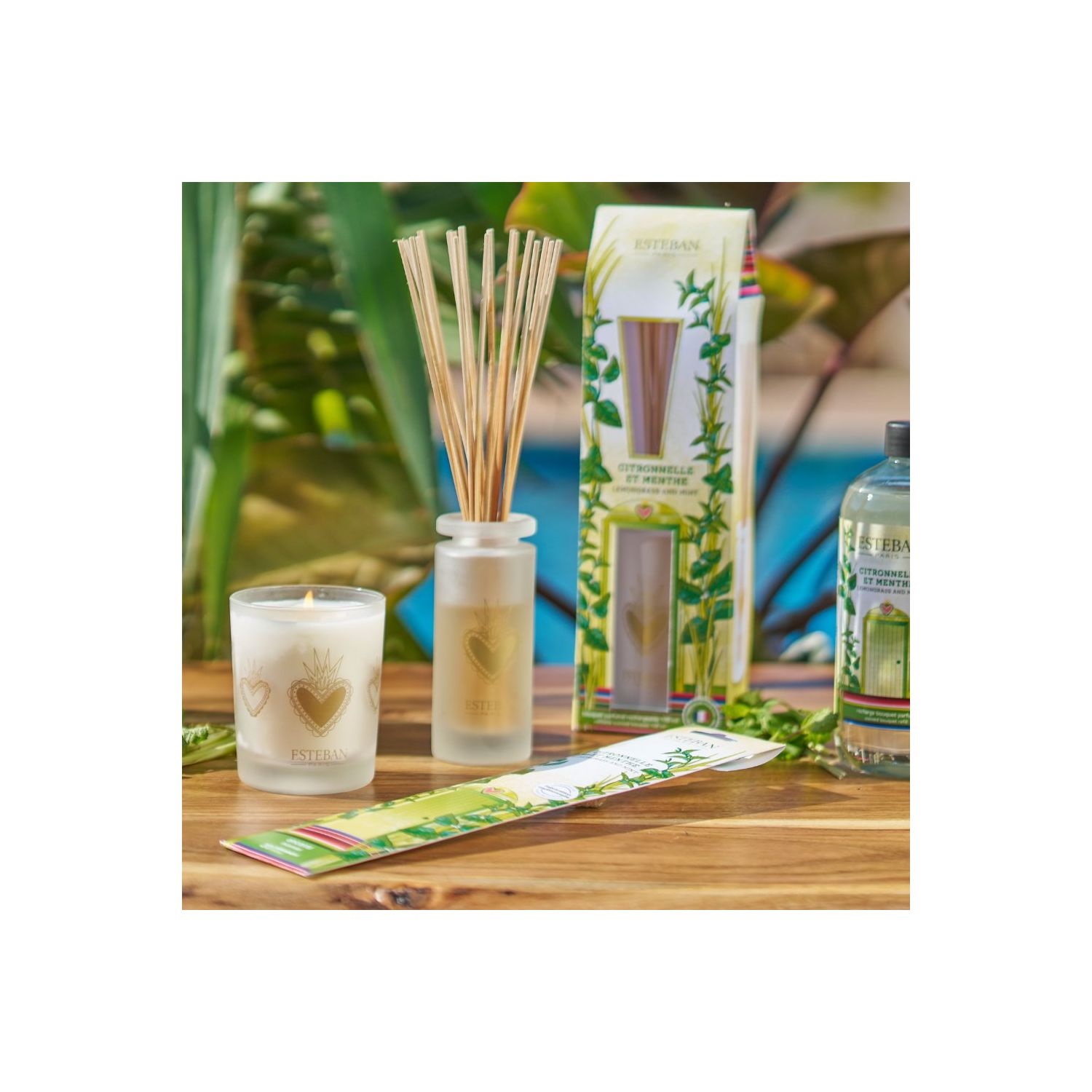 Bouquet parfumé citronnelle & menthe rechargeable 100ml - esteban