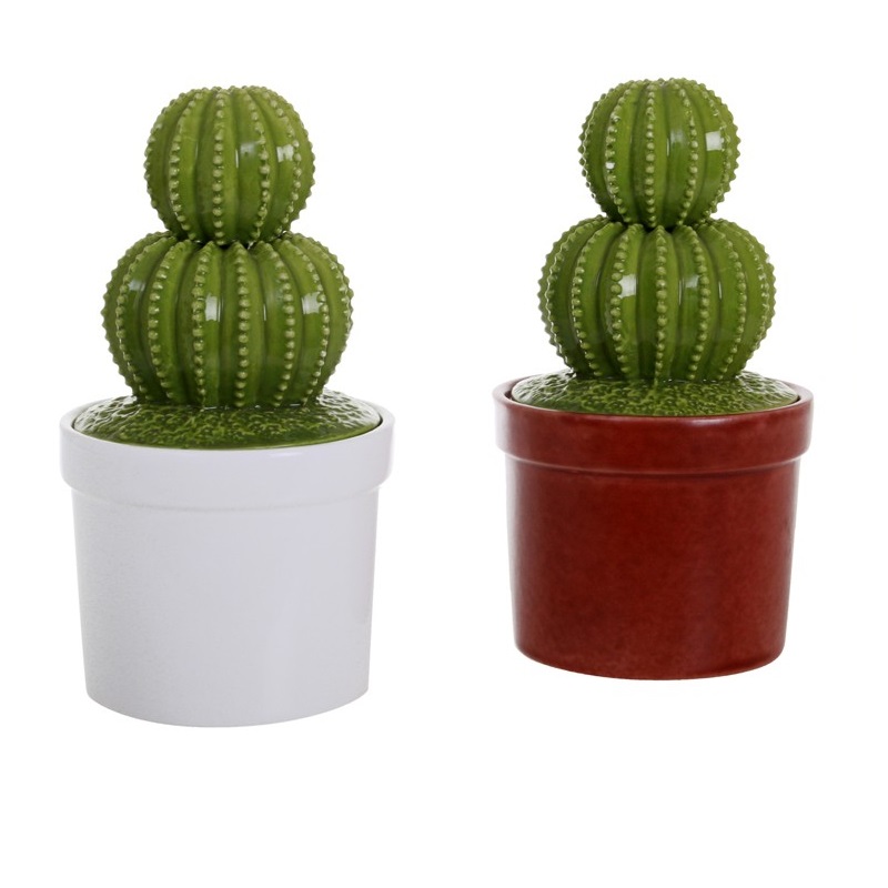 Pot cactus boule couleur aleatoire - socadis