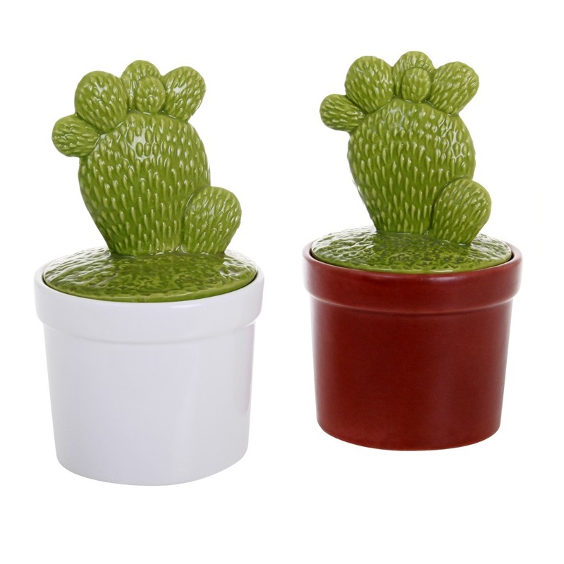 Pot cactus a raquettes couleur aleatoire - socadis