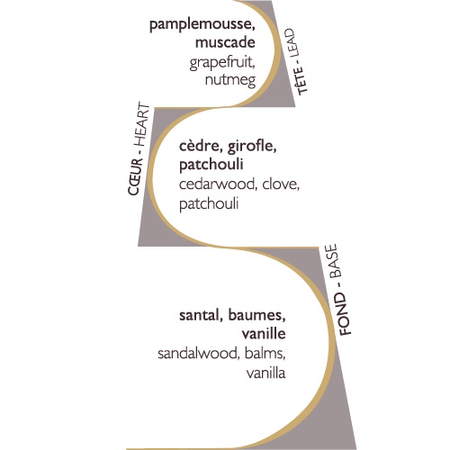 Cèdre, bouquet parfumé initial 100ml - esteban