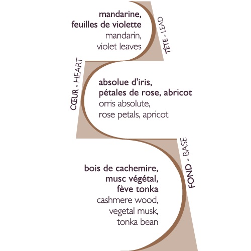 Iris cachemire, bouquet parfumé ellipse 200ml - esteban