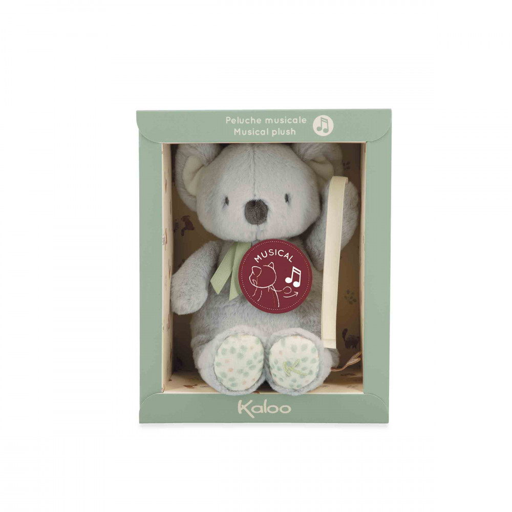 Peluche musicale koala 20 cm - kaloo