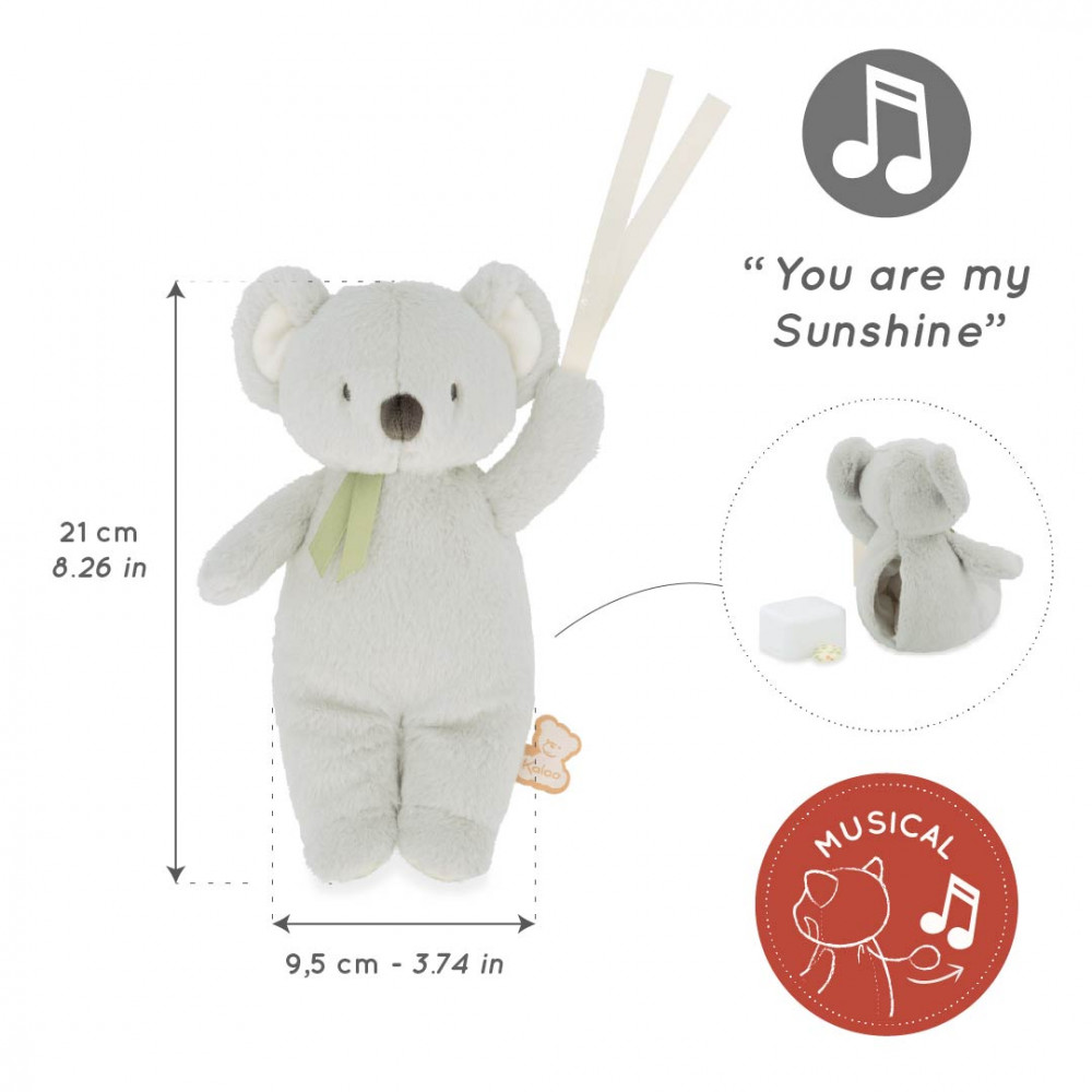 Peluche musicale koala 20 cm - kaloo