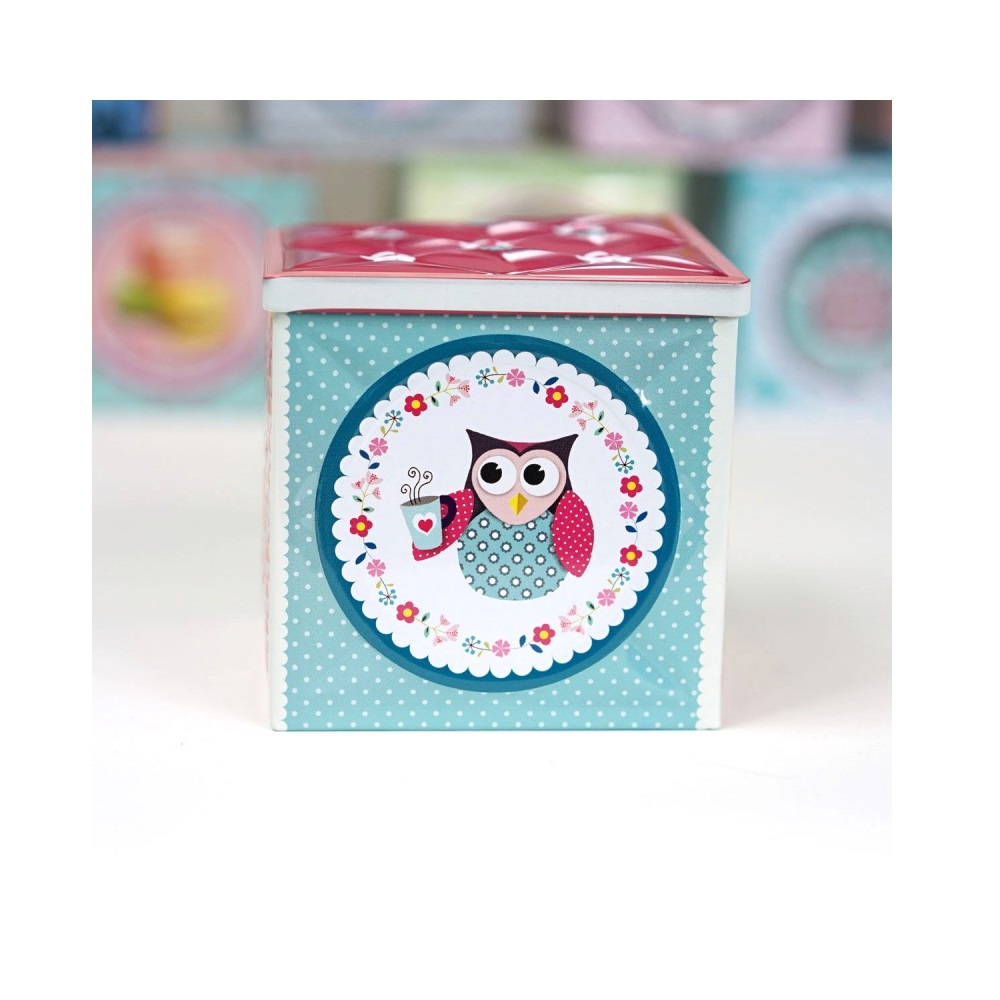 Boite carree kapiton chouette gourmande - moldeo