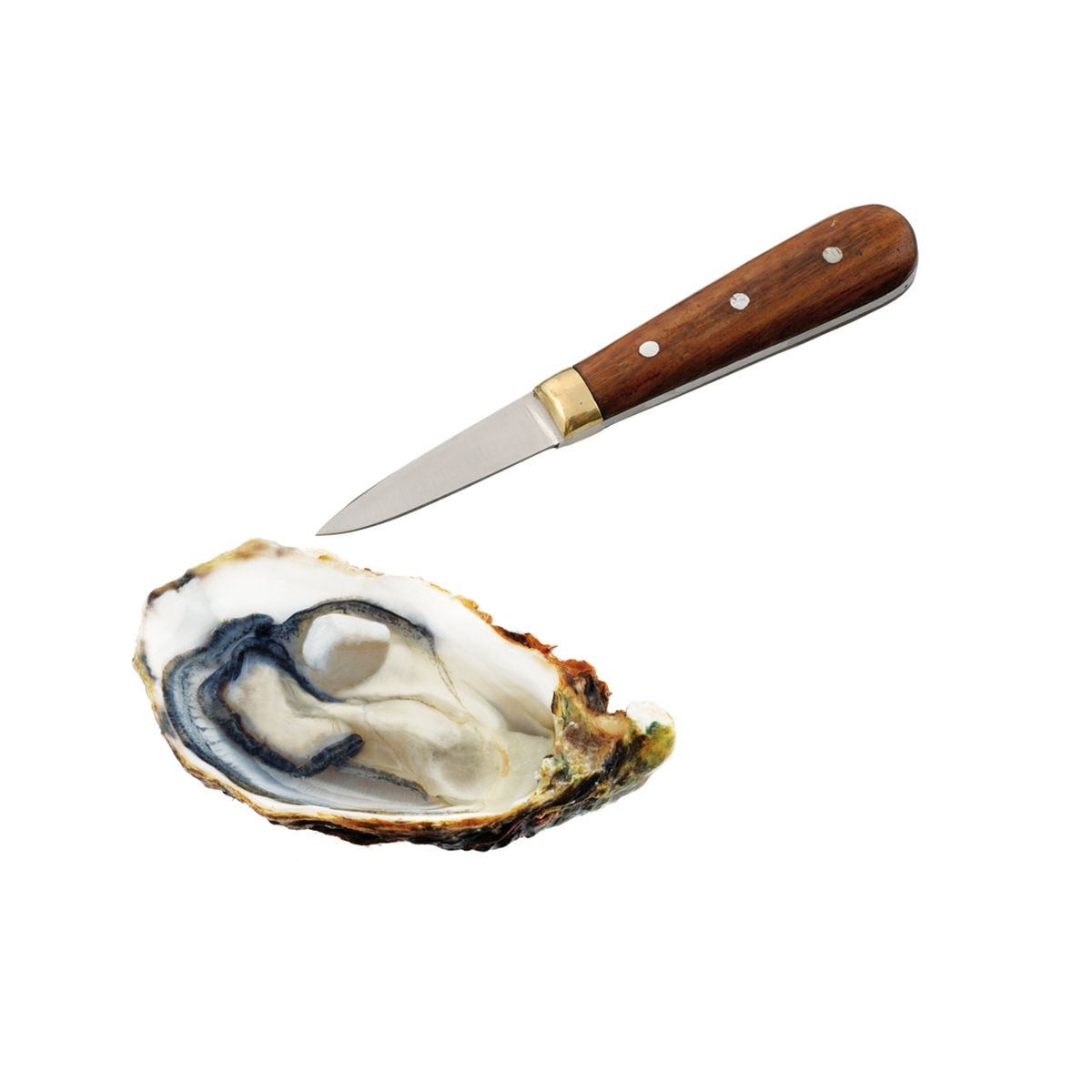 Kit fruits de mer diverses pinces et couteaux - tellier - la bonne graine