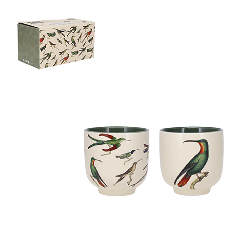 Lot de gobelets à café 200 ml en boite cadeau, encyclopédia oiseau vert - kiub