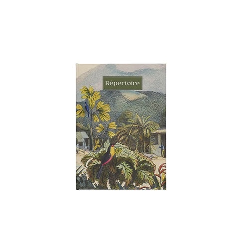 Repertoire format a6 192 pages cousus bnf voyage oiseaux plage - kiub