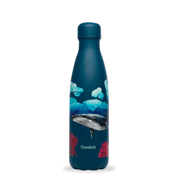 Bouteille isotherme - baleine 500 ml - qwetch