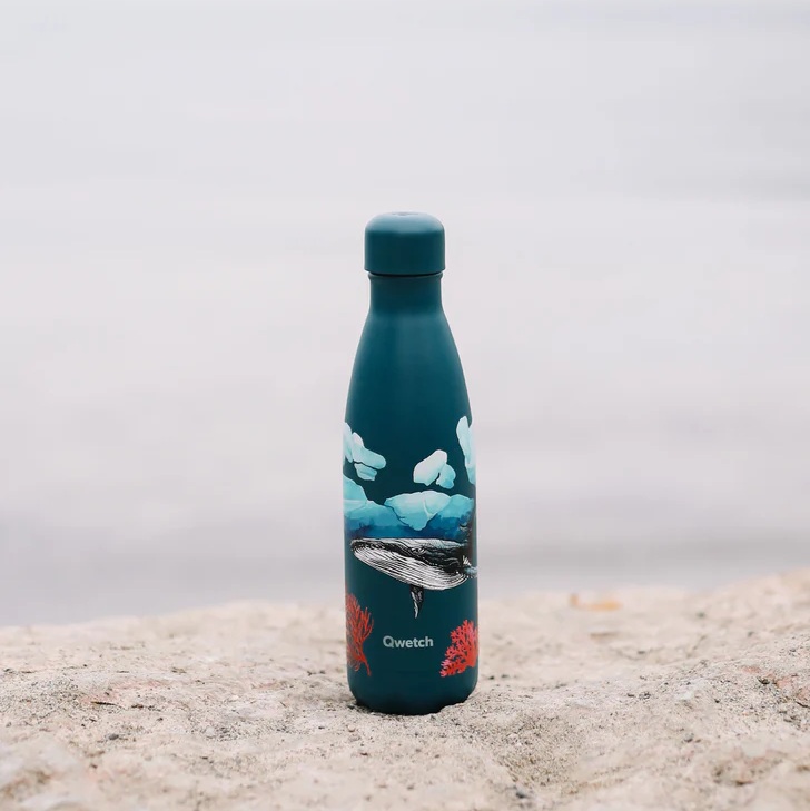 Bouteille isotherme - baleine 500 ml - qwetch