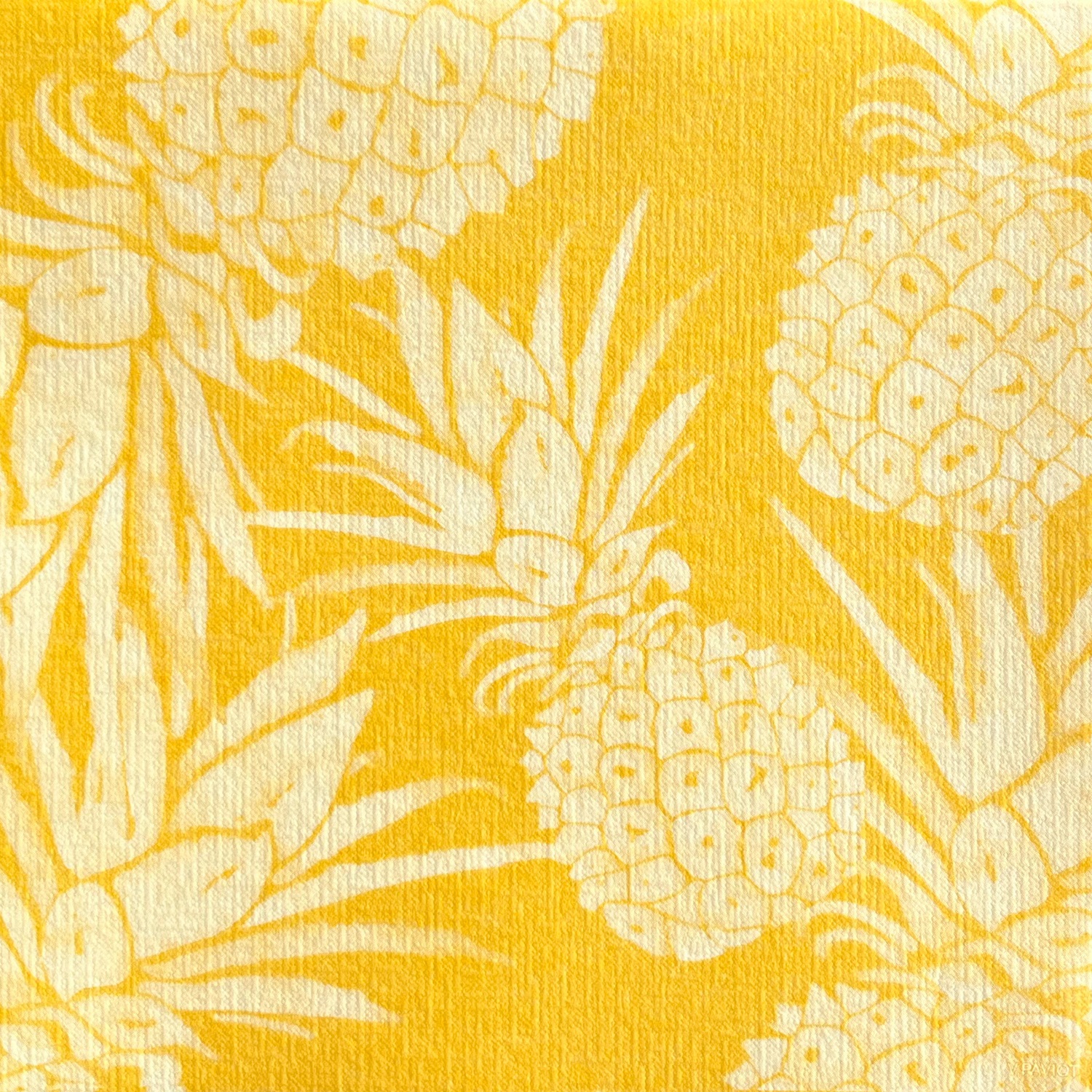 Lot de 20 serviettes en papier intissé 40x40 cm ananas jaune - francoise paviot
