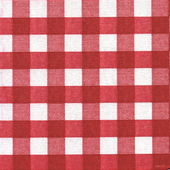 Lot de 20 serviettes de table intisse 40 x 40 cm bistrot rouge - francoise paviot