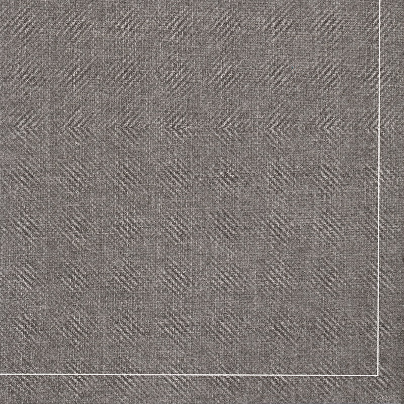 Lot de 20 serviettes de table intisse 40 x 40 cm chine gris - francoise paviot