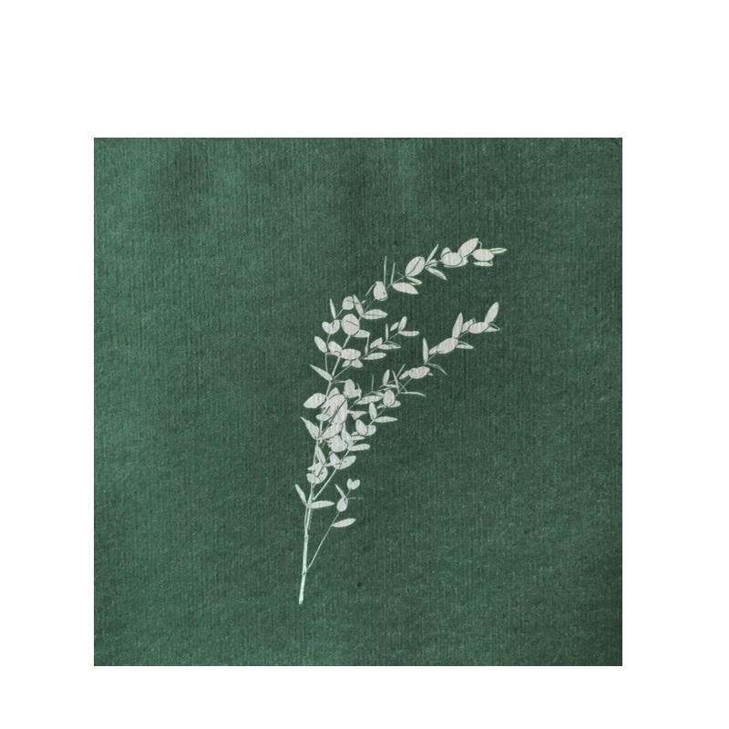 Lot de 20 serviettes de table intisse 40 x 40 cm eucalyptus - francoise paviot
