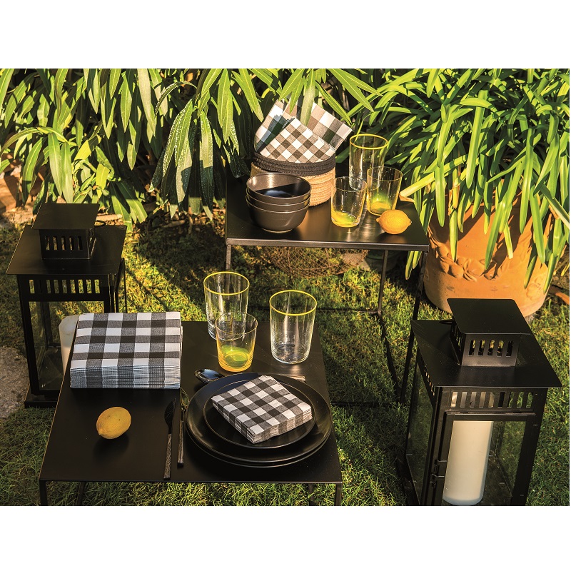 Lot de 20 serviettes de table intisse 40 x 40 cm grand vichy noir- francoise paviot
