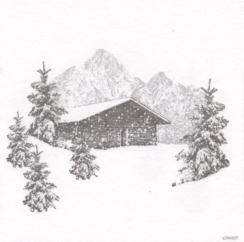 Lot de 20 serviettes de table intisse 40 x 40 cm refuge - francoise paviot