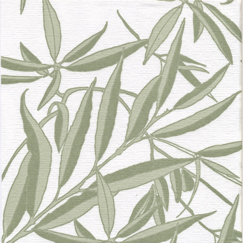 Lot de 20 serviettes de table intisse 40 x 40 cm saule - francoise paviot