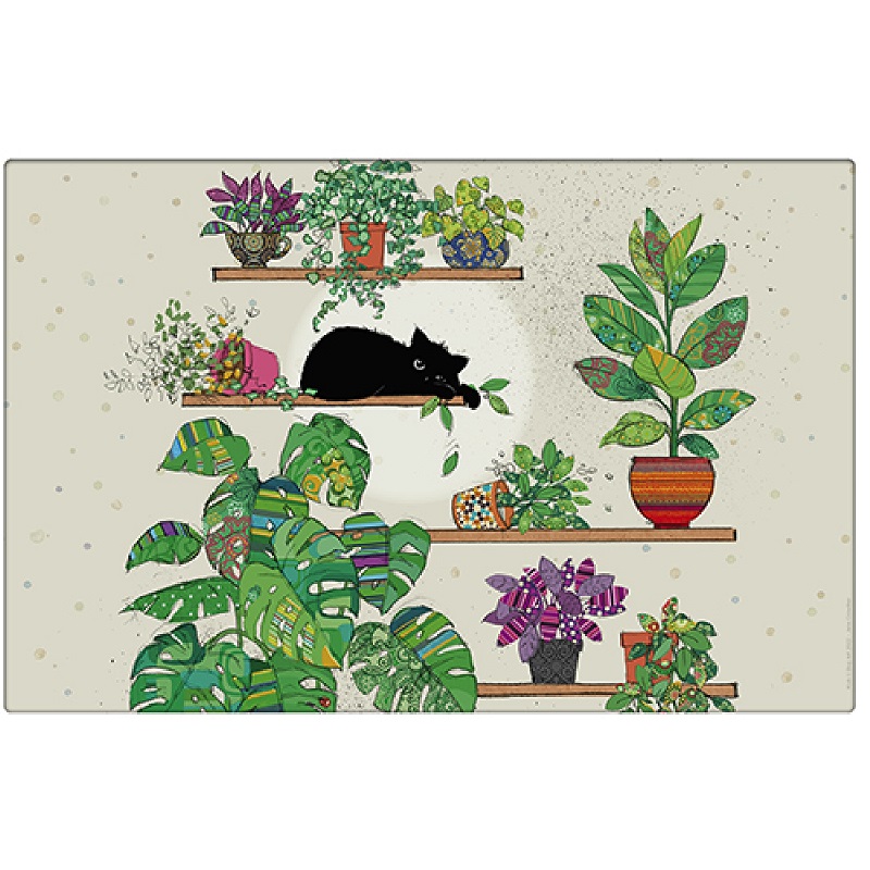 Lot de 6 sets de table plastifies 43 x 28 cm bug art chaton plantes - kiub