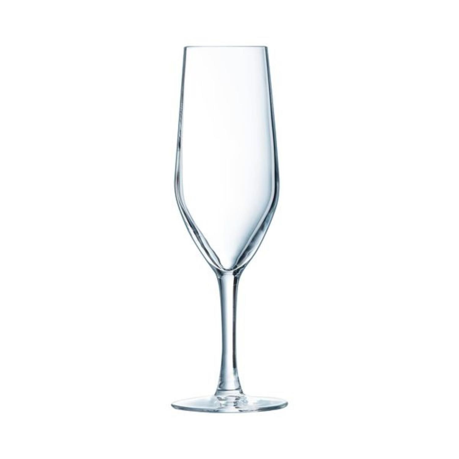 Lot de 6 verres à flûtes à champagne et vin effervescent evidence - 16 cl - chef et sommelier