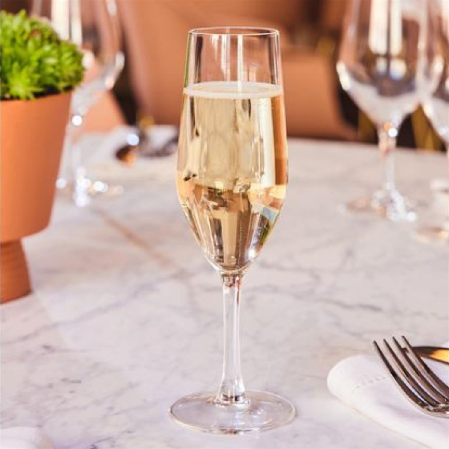 Lot de 6 verres à flûtes à champagne et vin effervescent evidence - 16 cl - chef et sommelier